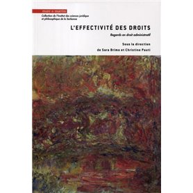 L'effectivité des droits