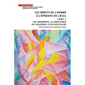 Les droits de l'homme à l'épreuve du local - Tome 1