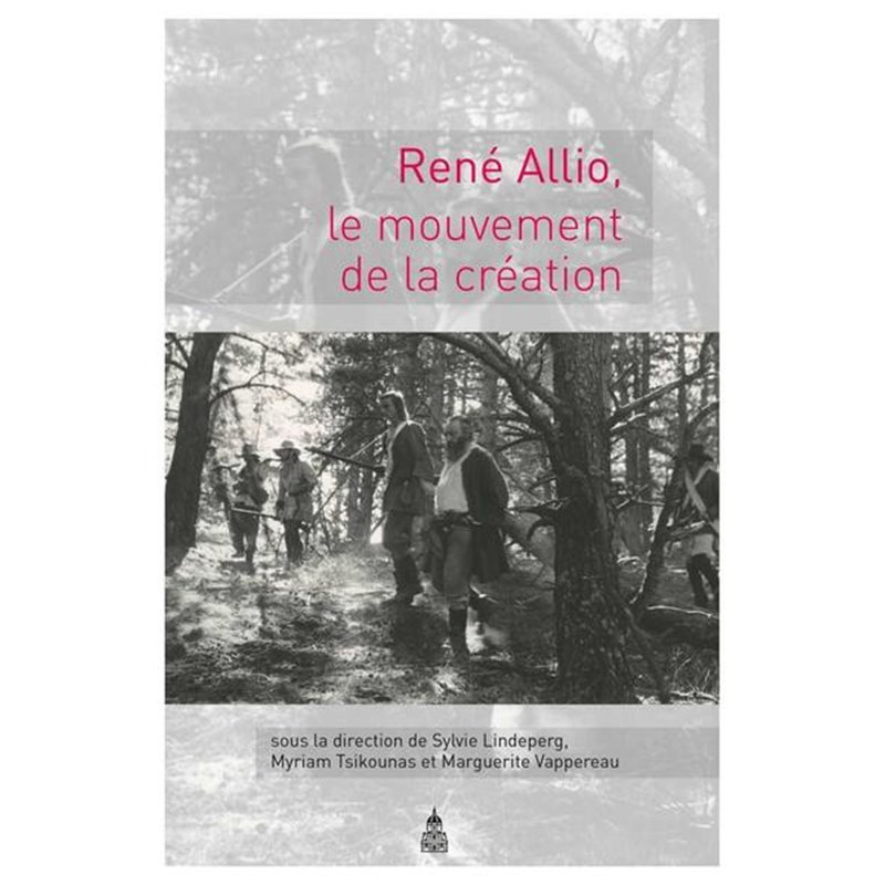 La césure interprétative entre le juge et la doctrine à  la lumière de l'expérience constitutionnelle française