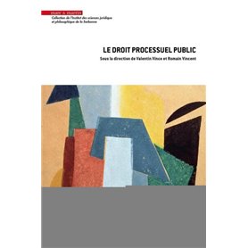 Le droit processuel public