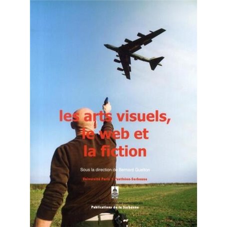 Les arts visuels, le web et la fiction