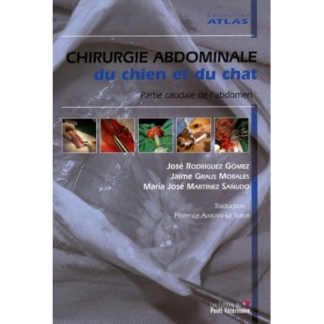 CHIRUGIE DE L ABDOMEN CHEZ LE CHIEN ET LE CHAT