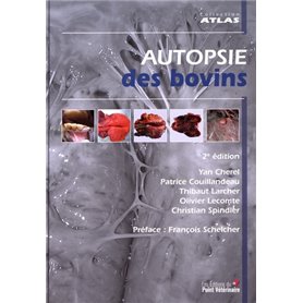 Autopsie des bovins