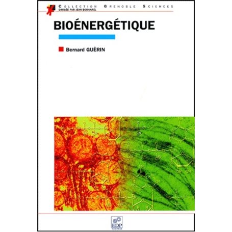 Bioénergétique