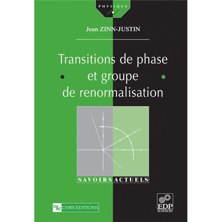 Transitions de phase et groupe de renormalisation