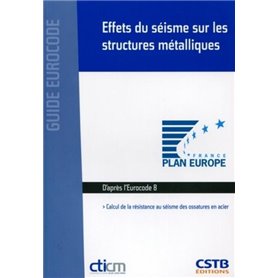 Effets du séisme sur les structures métalliques