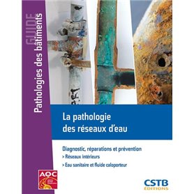 La pathologie des réseaux d'eau