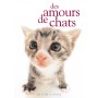 AMOURS DE CHATS