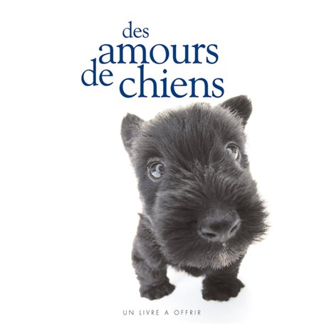 AMOURS DE CHIENS