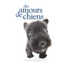 AMOURS DE CHIENS