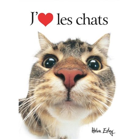 J'ADORE LES CHATS