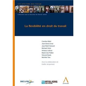 LA FLEXIBILITÉ EN DROIT DU TRAVAIL