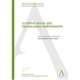 le statut social des travailleurs indépendants