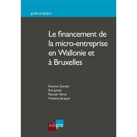 LE FINANCEMENT DE LA MICRO-ENTREPRISE EN WALLONIE ET À BRUXELLES