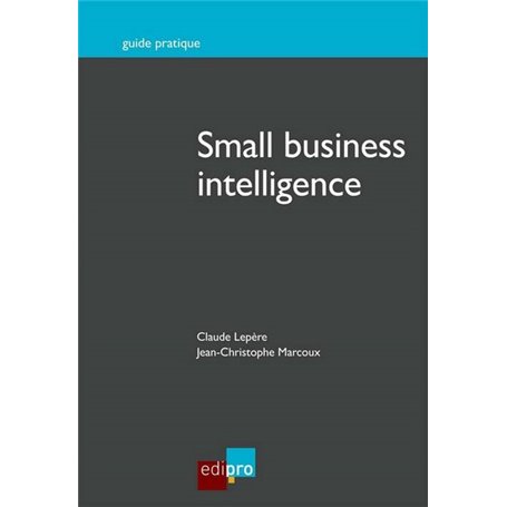 SMALL BUSINESS INTELLIGENCE