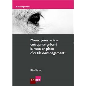 MIEUX GÉRER VOTRE ENTREPRISE GRÂCE À LA MISE EN PLACE D'OUTILS E-MANAGEMENT