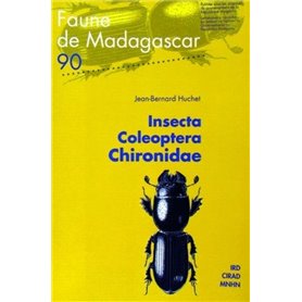 Insecta coleoptera chironidae