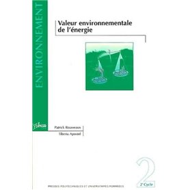 Valeur environnementale de l'énergie