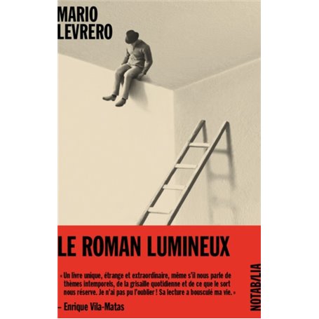 Le roman lumineux