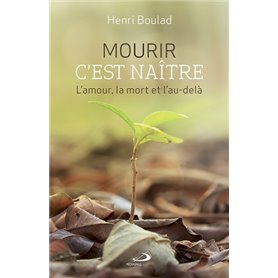 MOURIR C'EST NAITRE. L'AMOUR, LA MORT ET L'AU-DELÀ