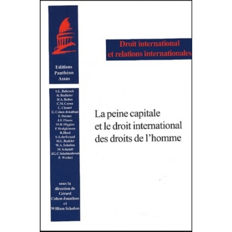 LA PEINE CAPITALE ET LE DROIT INTERNATIONAL DES DROITS DE L'HOMME