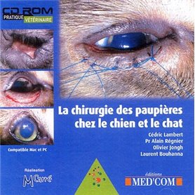 CHIRURGIE DES PAUPIERES CHEZ LE CHIEN ET LE CHAT