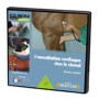 L AUSCULTATION CARDIAQUE CHEZ LE CHEVAL