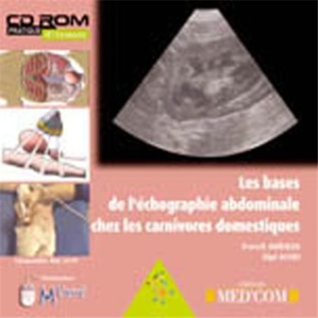 LES BASES DE L ECHOGRAPHIE ABDOMINALE CHEZ LES CARNIVORES DOMESTIQUES