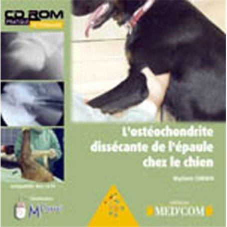 L OSTEOCHONDRITE DISSECANTE DE L EPAULE CHEZ LE CHIEN