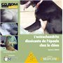 L OSTEOCHONDRITE DISSECANTE DE L EPAULE CHEZ LE CHIEN