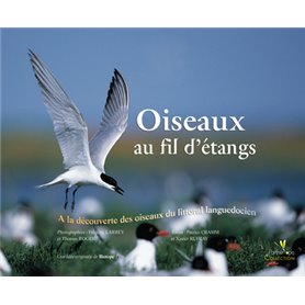 OISEAUX AU FIL D'ETANGS