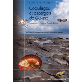 COQUILLAGES ET ESCARGOTS DE GUYANE. SEASHELLS AND SNAILS FROM FRECH GUIANA