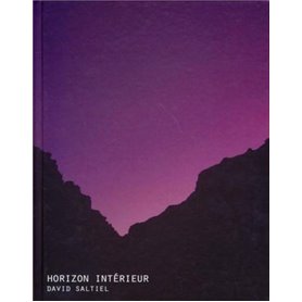 Horizon Intérieur David Saltiel