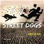 Street dogs