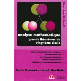 Analyse mathématique. Grands théorèmes du vingtième siècle.