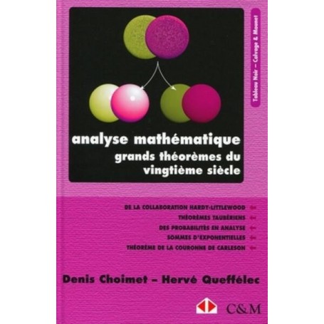 Analyse mathématique. Grands théorèmes du vingtième siècle.