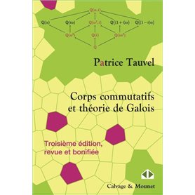 Corps commutatifs et théorie de Galois