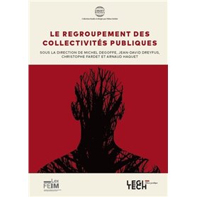 Le regroupement des collectivités publiques