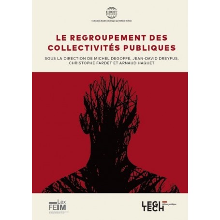 Le regroupement des collectivités publiques