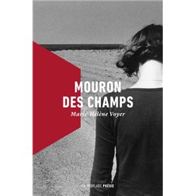 Mouron des champs