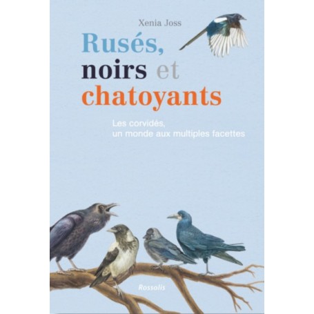 RUSES, NOIRS ET CHATOYANTS