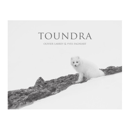Toundra (livre plus film)