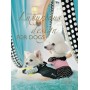 Luxurious design for dogs