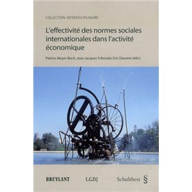 L'EFFECTIVITÉ DES NORMES SOCIALES INTERNATIONALES DANS L'ACTIVITÉ ÉCONOMIQUE