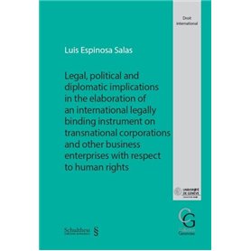 Legal, political and diplomatic implications in the elaboration of an international legally binding instrument on transnational 