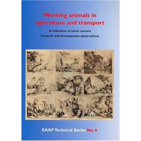 Working animals in agriculture and transport