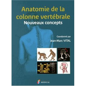 ANATOMIE DE LA COLONNE VERTEBRALE. NOUVEAUX CONCEPTS