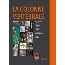 LA COLONNE VERTEBRALE