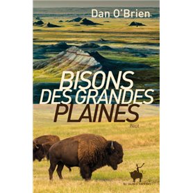 Bisons des grandes plaines