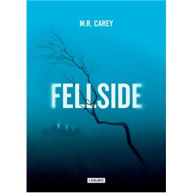 Fellside